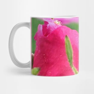 Rose Bud Mug